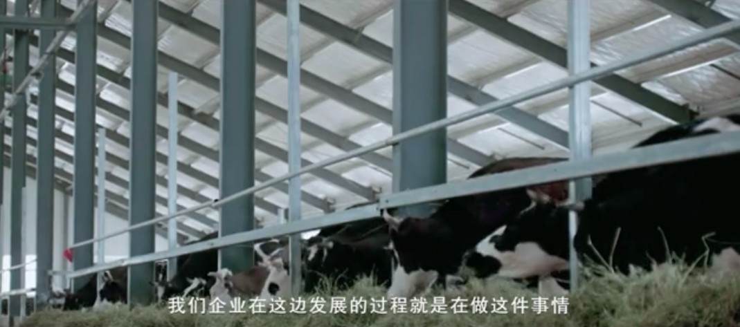 5fad0519a0db5.png 图片.png
