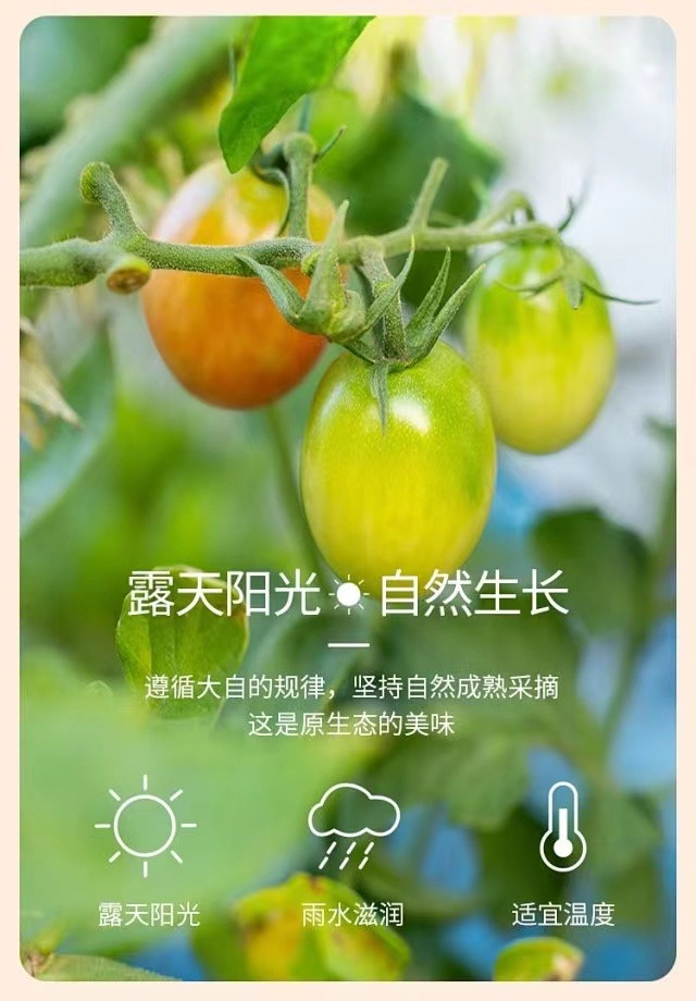 英国·威廉希尔(WilliamHill)唯一官网 - 中文官方网站